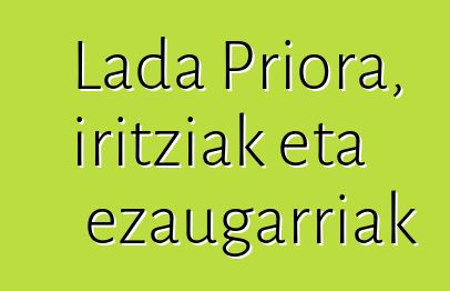 Lada Priora, iritziak eta ezaugarriak