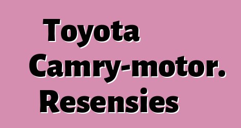 Toyota Camry-motor. Resensies