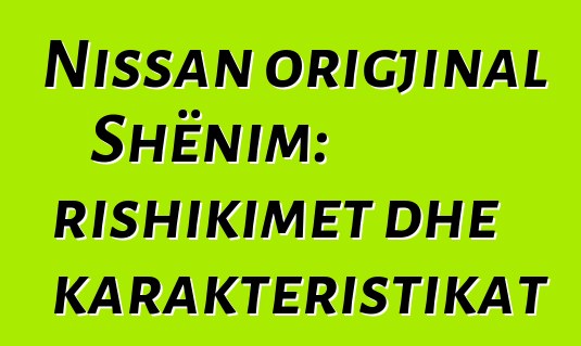 Nissan origjinal Shënim: rishikimet dhe karakteristikat