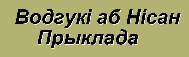Водгукі аб Нісан Прыклада