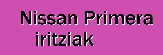 Nissan Primera iritziak