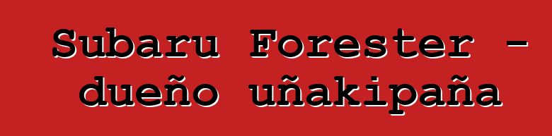 Subaru Forester – dueño uñakipaña