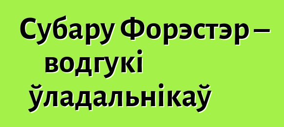Субару Форэстэр – водгукі ўладальнікаў