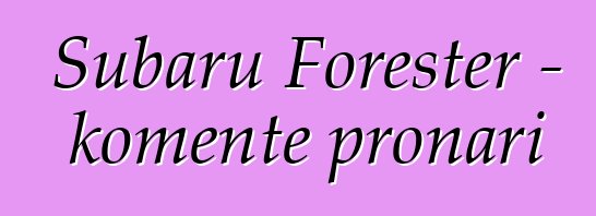 Subaru Forester – komente pronari