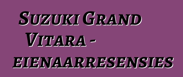 Suzuki Grand Vitara - eienaarresensies