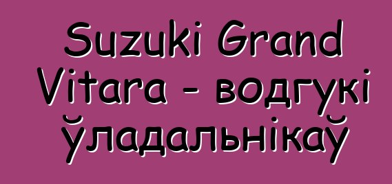 Suzuki Grand Vitara - водгукі ўладальнікаў