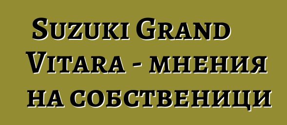 Suzuki Grand Vitara - мнения на собственици