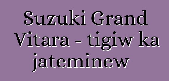 Suzuki Grand Vitara - tigiw ka jateminɛw