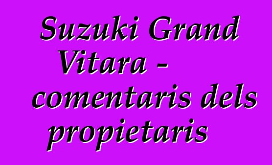 Suzuki Grand Vitara - comentaris dels propietaris