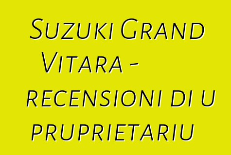 Suzuki Grand Vitara - recensioni di u pruprietariu