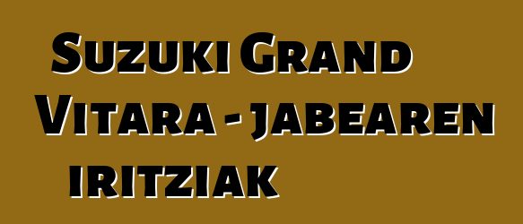 Suzuki Grand Vitara - jabearen iritziak