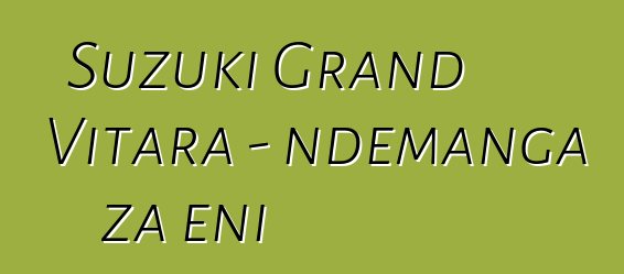 Suzuki Grand Vitara - ndemanga za eni