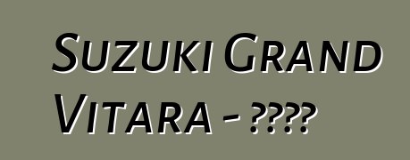 Suzuki Grand Vitara - 車主評論