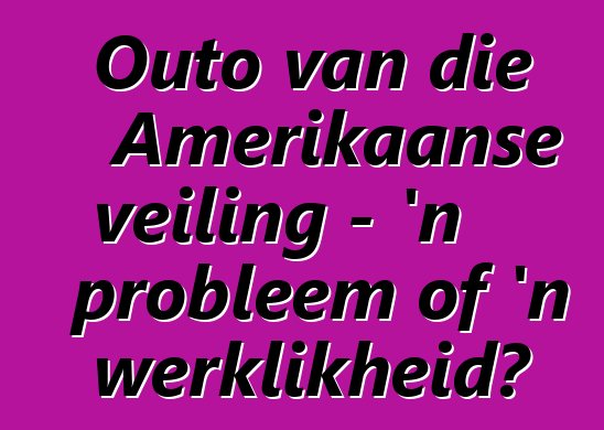 Outo van die Amerikaanse veiling - 'n probleem of 'n werklikheid?