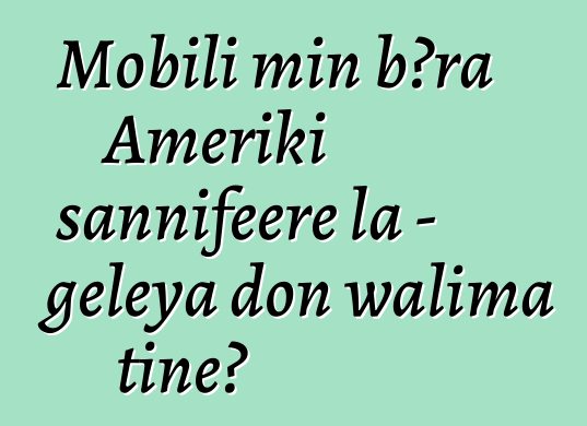 Mobili min bɔra Ameriki sannifeere la - gɛlɛya don walima tiɲɛ?