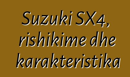 Suzuki SX4, rishikime dhe karakteristika