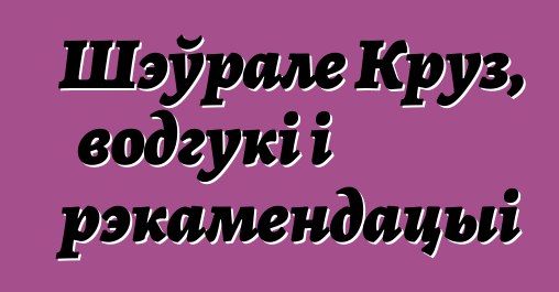 Шэўрале Круз, водгукі і рэкамендацыі