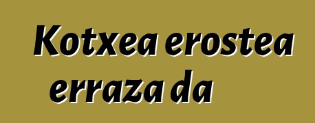 Kotxea erostea erraza da