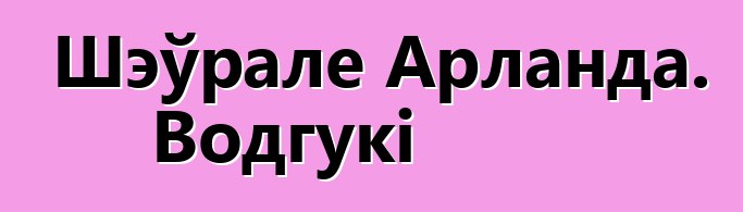 Шэўрале Арланда. Водгукі