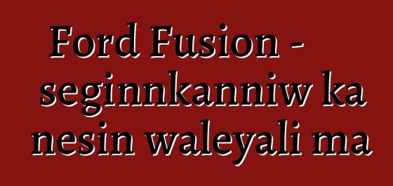 Ford Fusion - seginnkanniw ka ɲɛsin waleyali ma