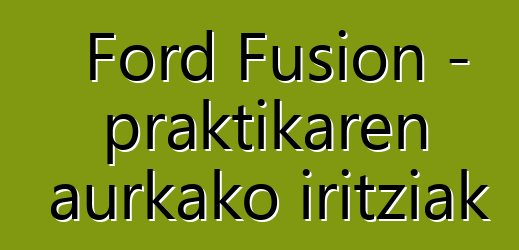Ford Fusion - praktikaren aurkako iritziak