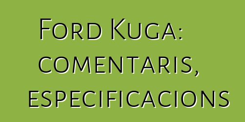 Ford Kuga: comentaris, especificacions