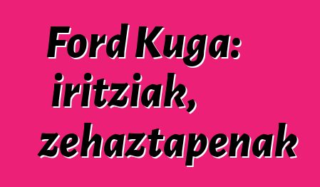Ford Kuga: iritziak, zehaztapenak