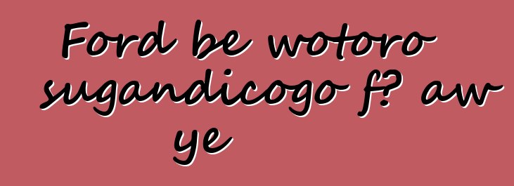 Ford bɛ wotoro sugandicogo fɔ aw ye