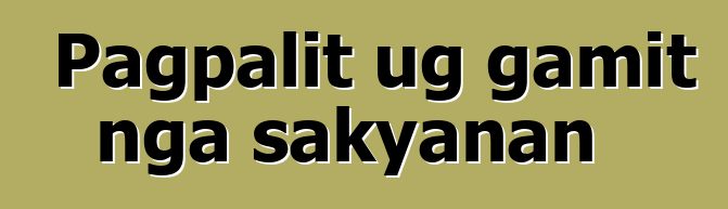 Pagpalit ug gamit nga sakyanan
