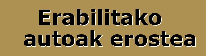 Erabilitako autoak erostea