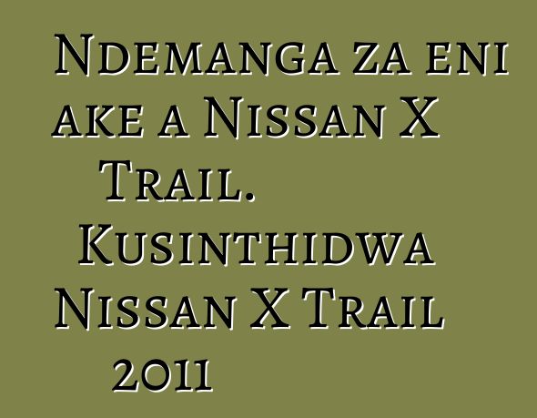 Ndemanga za eni ake a Nissan X Trail. Kusinthidwa Nissan X Trail 2011