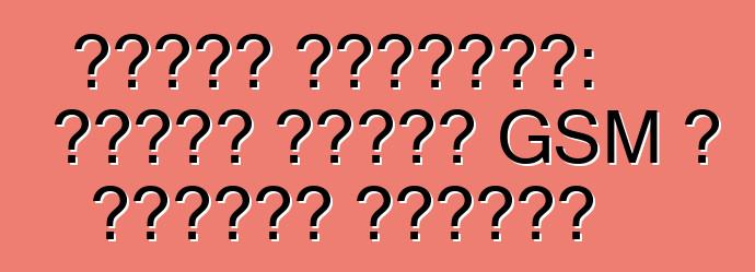 نيسان بريميرا: إنذار سيارة GSM ، احترام السائق