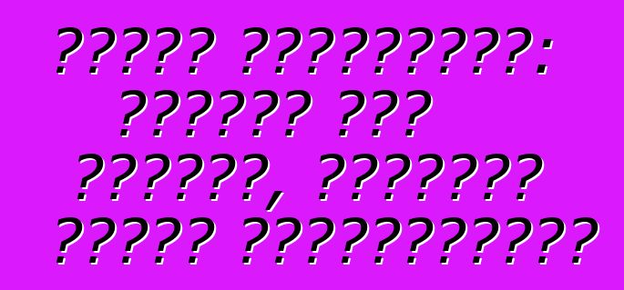 निसान प्राइमेरा: जीएसएम कार अलार्म, ड्राइवर खातिर सम्मानजनकता