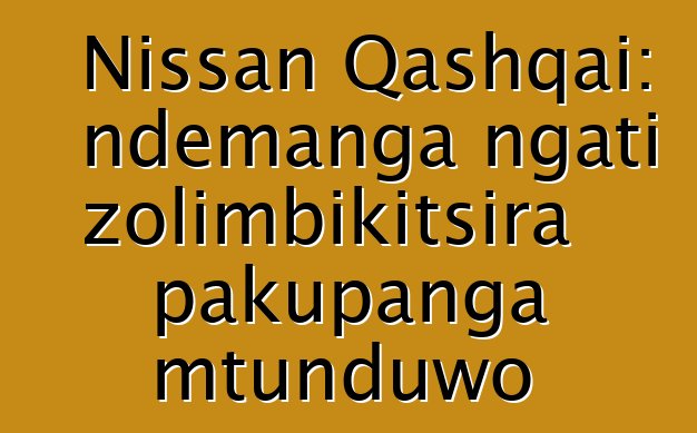 Nissan Qashqai: ndemanga ngati zolimbikitsira pakupanga mtunduwo
