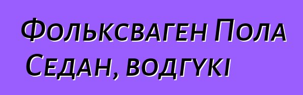 Фольксваген Пола Седан, водгукі