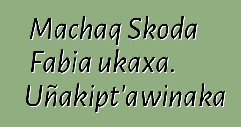 Machaq Skoda Fabia ukaxa. Uñakipt’awinaka