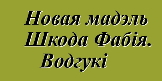 Новая мадэль Шкода Фабія. Водгукі