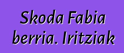 Skoda Fabia berria. Iritziak