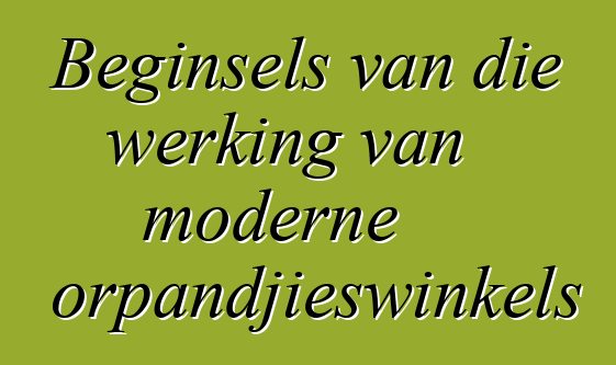 Beginsels van die werking van moderne motorpandjieswinkels