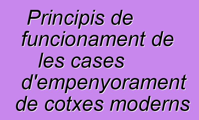 Principis de funcionament de les cases d'empenyorament de cotxes moderns