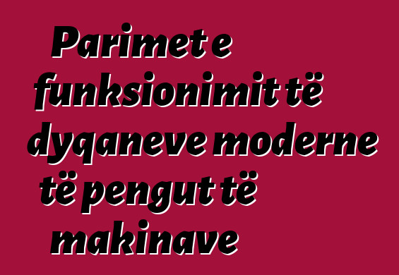 Parimet e funksionimit të dyqaneve moderne të pengut të makinave