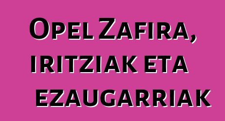 Opel Zafira, iritziak eta ezaugarriak