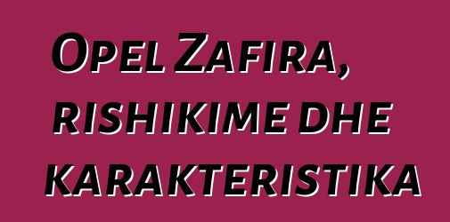 Opel Zafira, rishikime dhe karakteristika