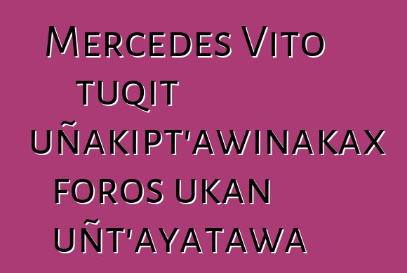 Mercedes Vito tuqit uñakipt’awinakax foros ukan uñt’ayatawa
