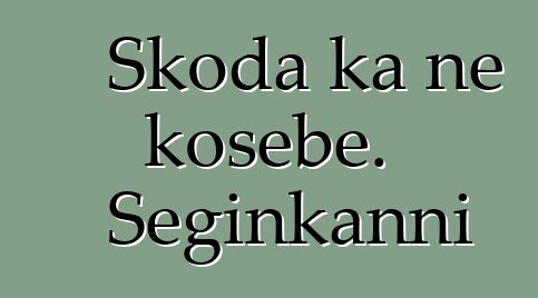 Skoda ka ɲɛ kosɛbɛ. Seginkanni