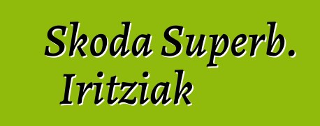 Skoda Superb. Iritziak