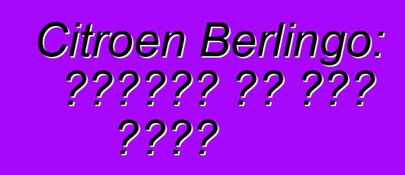 Citroen Berlingo: ግምገማዎች እና ሞዴል መግለጫ