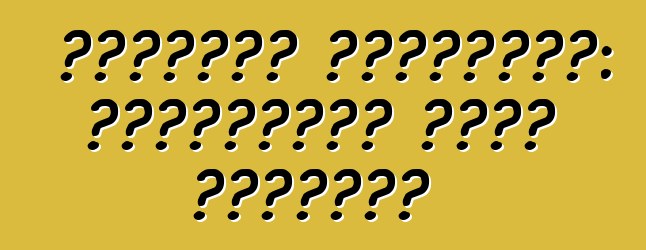 سيتروين بيرلينجو: المراجعات ووصف النموذج