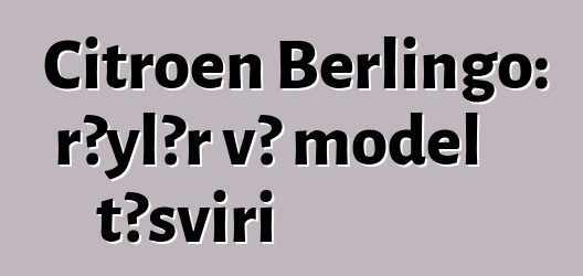 Citroen Berlingo: rəylər və model təsviri