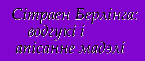 Сітраен Берлінга: водгукі і апісанне мадэлі